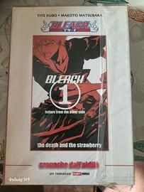Bleach cronache dall'aldilà