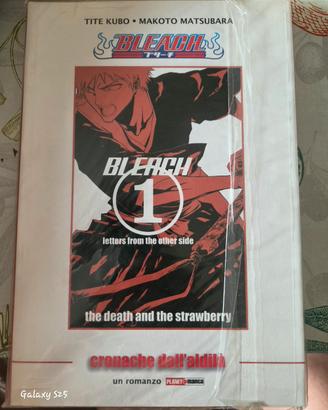 Bleach cronache dall'aldilà