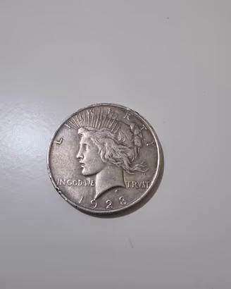 dollaro in argento commemorativa da collezione