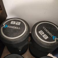 Due manubri 28 kg X 2