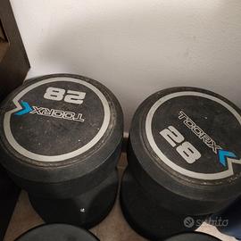 Due manubri 28 kg X 2