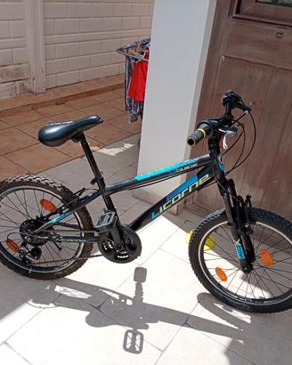 bici licorne 