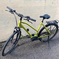 Bici elettrica