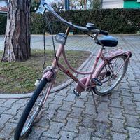 Bicicletta Silver star