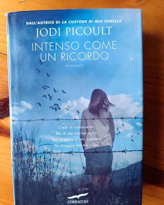 libro intenso come un ricordo jodi picoult 