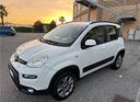 fiat-panda-1-3-mjt-s-s-4x4