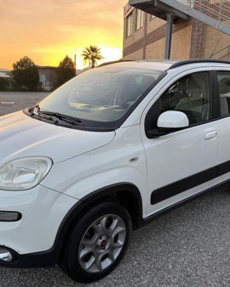 Fiat Panda 1.3 MJT S&S 4x4