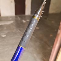 bolognese martina gold purple