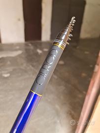 bolognese martina gold purple