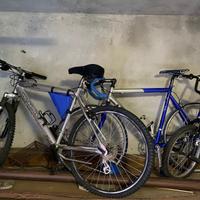 Biciclette, prezzo singolo