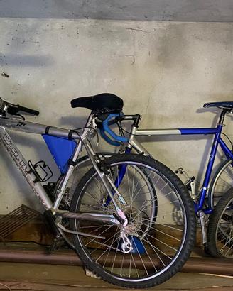 Biciclette, prezzo singolo