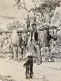 Alberto Fremura litografia tiratura limitata