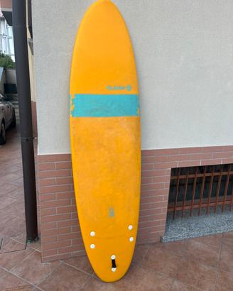 Tavola Surf 7’