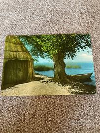 Cartolina vintage viaggiata 1974 Montefiascone