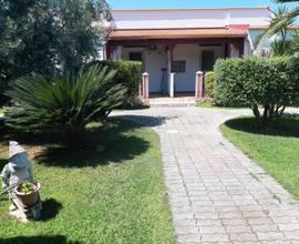 Puglia Gargano Peschici dal 20/08 in poi Last Minu