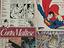 Immagine 2
