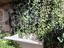 Immagine 10