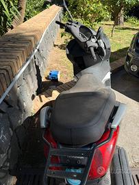 Xmax 250