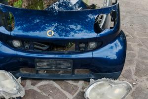 Smart 450 Musata Carene Paraurti Parafanghi 