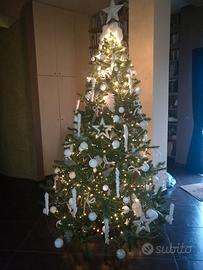 Albero di natale senza addobbi
