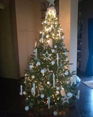 Albero di natale senza addobbi