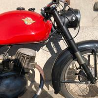 Ducati sport 1953