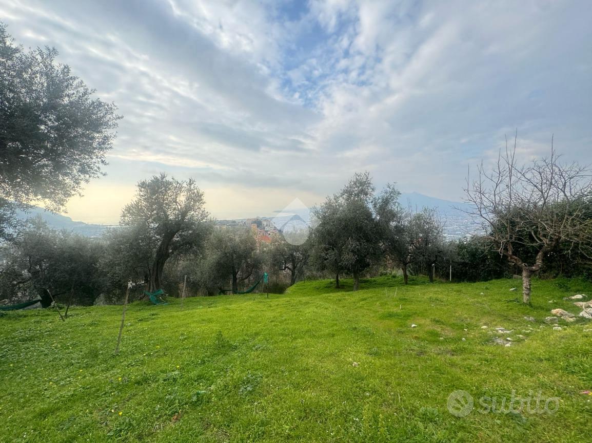 TER. AGRICOLO A LETTERE - Vista 5