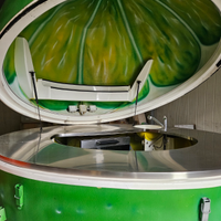 Chiosco Lime Bar Itinerante (Pronto all'uso)