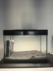 Acquario 30 litri
