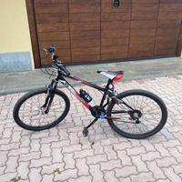 Bicicletta Mountain bike