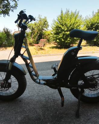 fantic issimo 25 