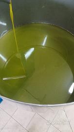 cultivar ottobratico 