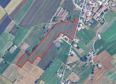 TER. AGRICOLO A ASSISI