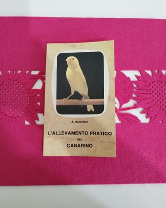 Libro L'allevamento pratico del canarino