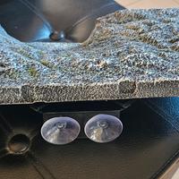 isola galleggiante x tartaruga