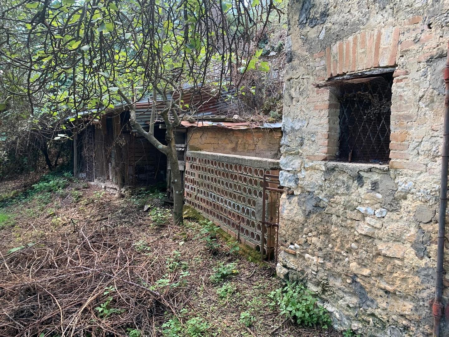 Terreno agricolo e casale - Vista 2