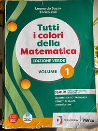 TUTTI I COLORI DELLA MATEMATICA 9788849425215
