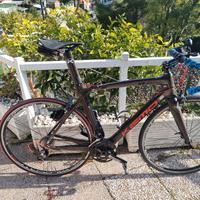 bici corsa carbonio mis 56