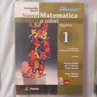 Nuova matematica a colori algebra e geometria