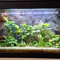 acquario 120 litri