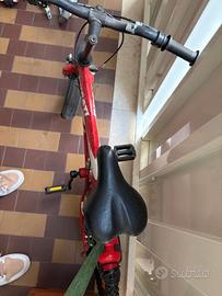 bicicletta bambino