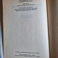 La Campania è un continente 