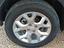 Immagine 12