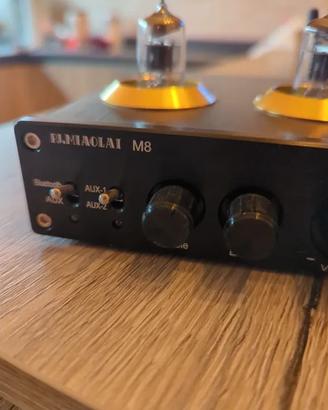 Amplificatore a valvole con Bluetooth