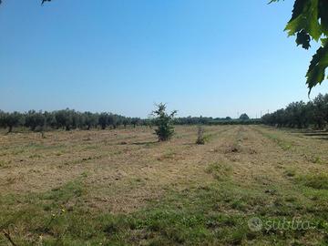 Terreno commerciale Rocca S.Giovanni - Chieti