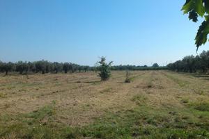 Terreno commerciale Rocca S.Giovanni - Chieti