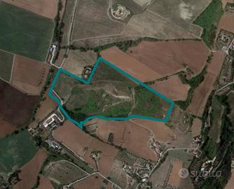 Immobile in asta di 119110 m² a Fermo