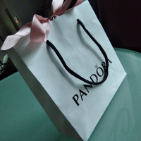 Borsa Pandora bustina