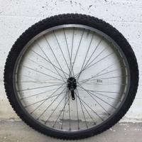 Ruota MTB 26