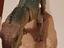 Immagine 5